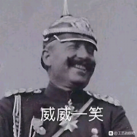 柏林万字旗接班人